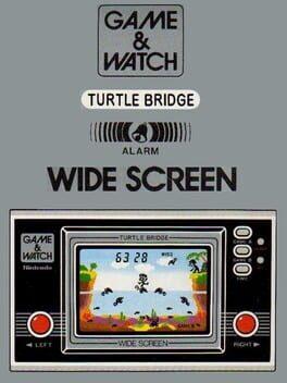 Turtle Bridge