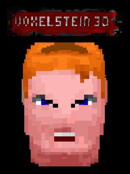 Voxelstein 3D
