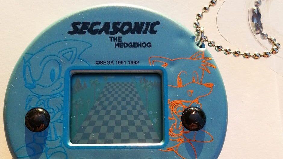 SegaSonic the Hedgehog artwork 1