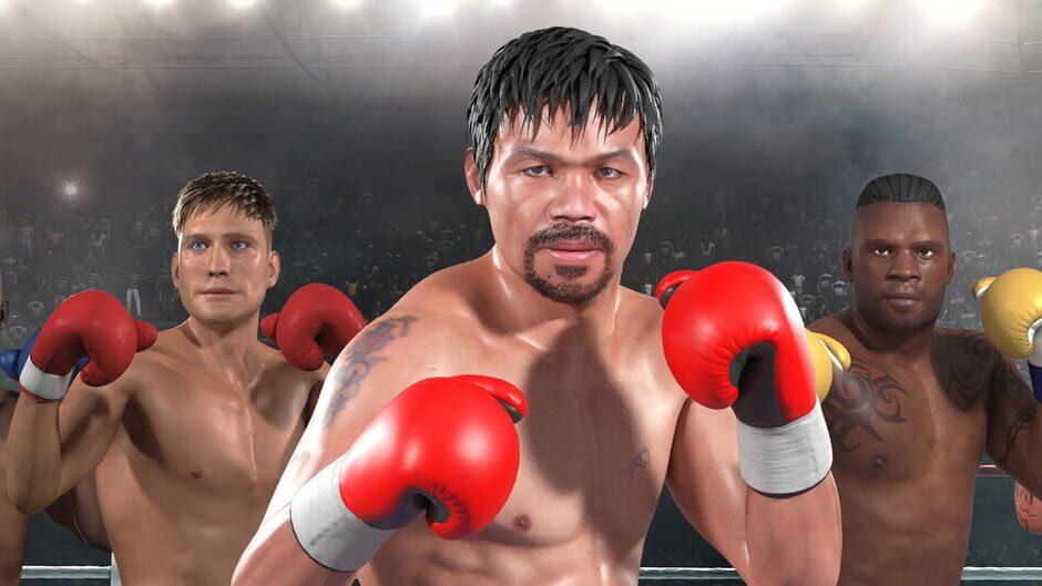 Manny Boxing VR artwork 1