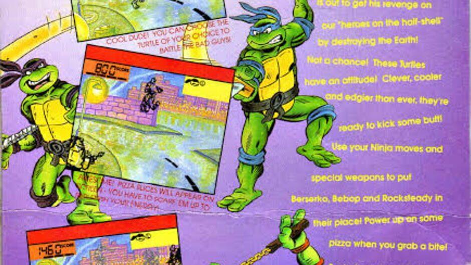 Teenage Mutant Ninja Turtles: Dimension X Assault artwork 1