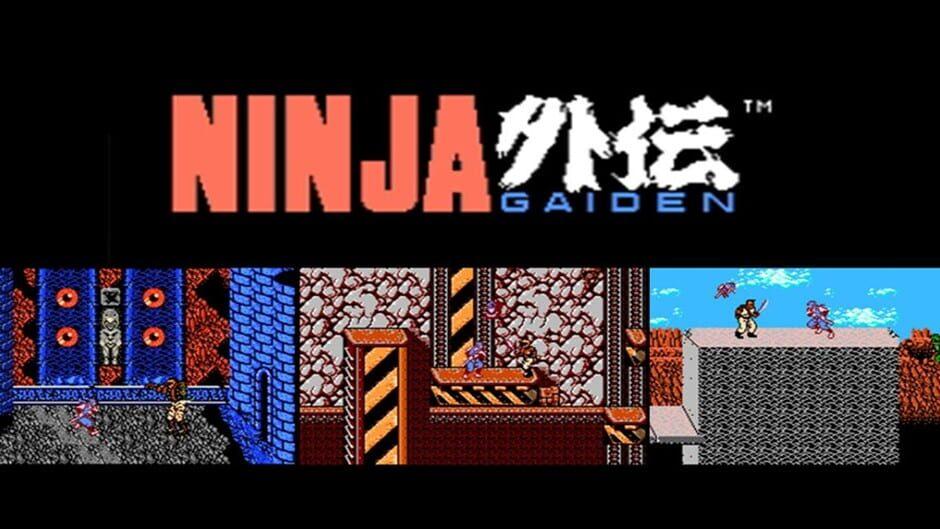 Ninja Gaiden artwork 1