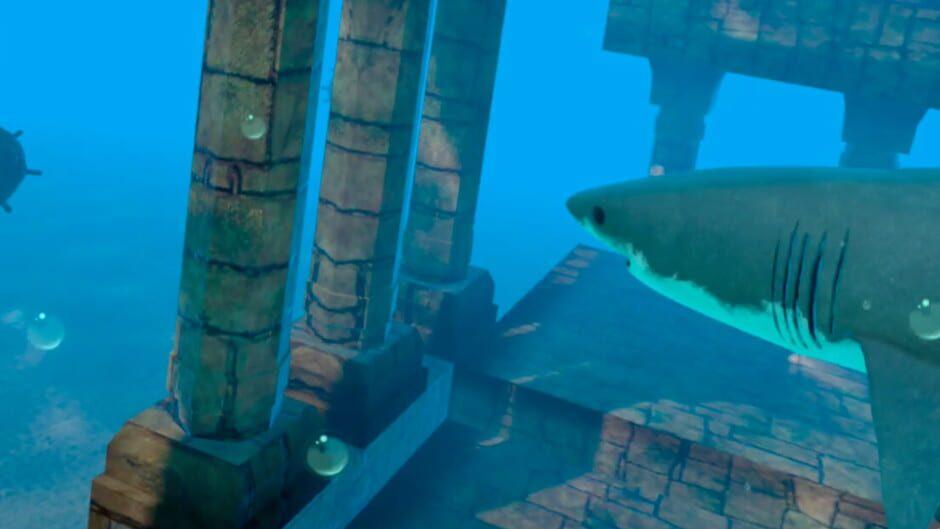 Sharks artwork 1
