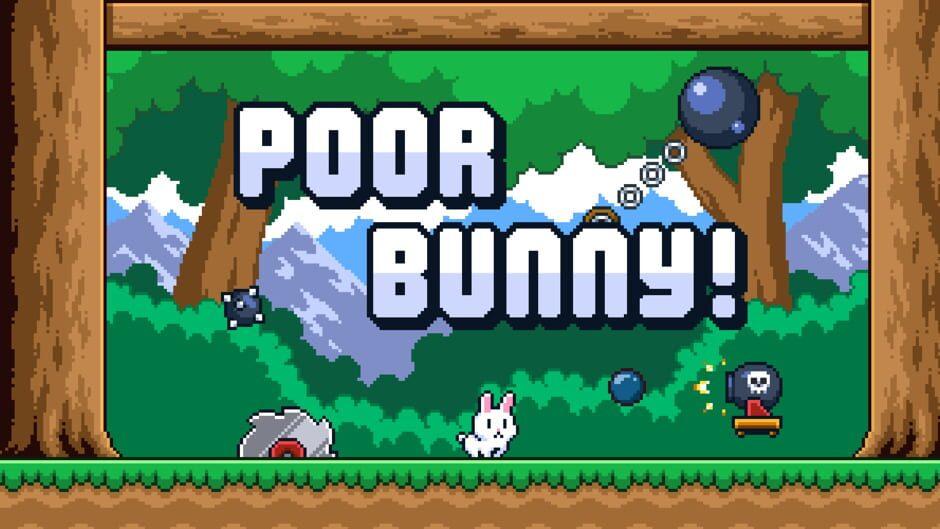 Poor Bunny! artwork 1