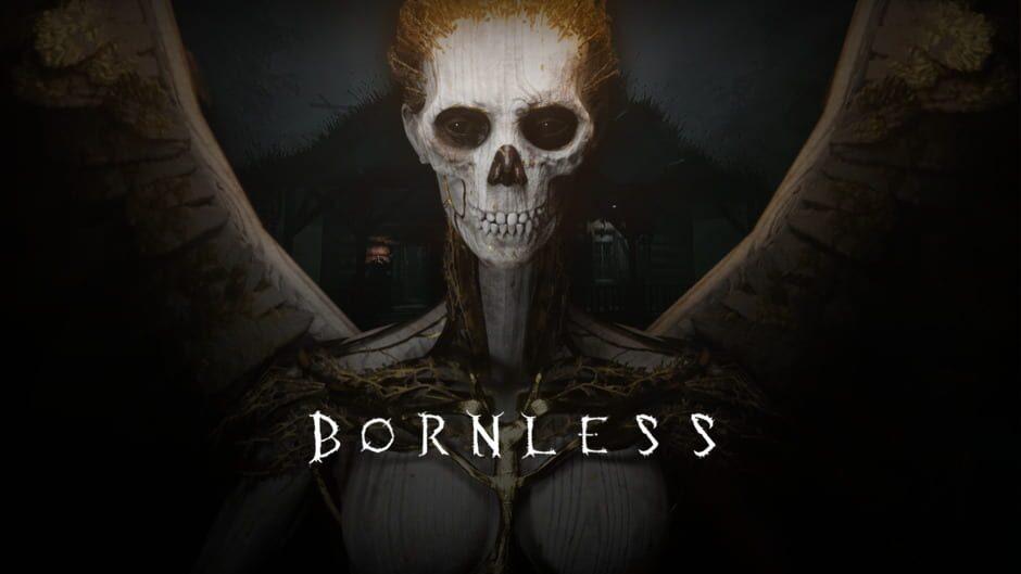 The Bornless artwork 1