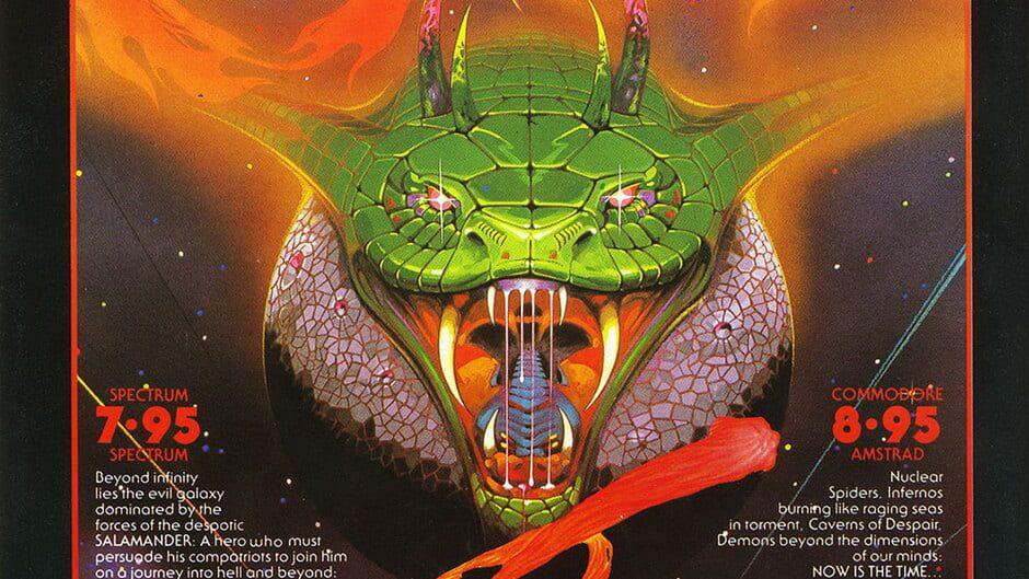 Salamander artwork 3