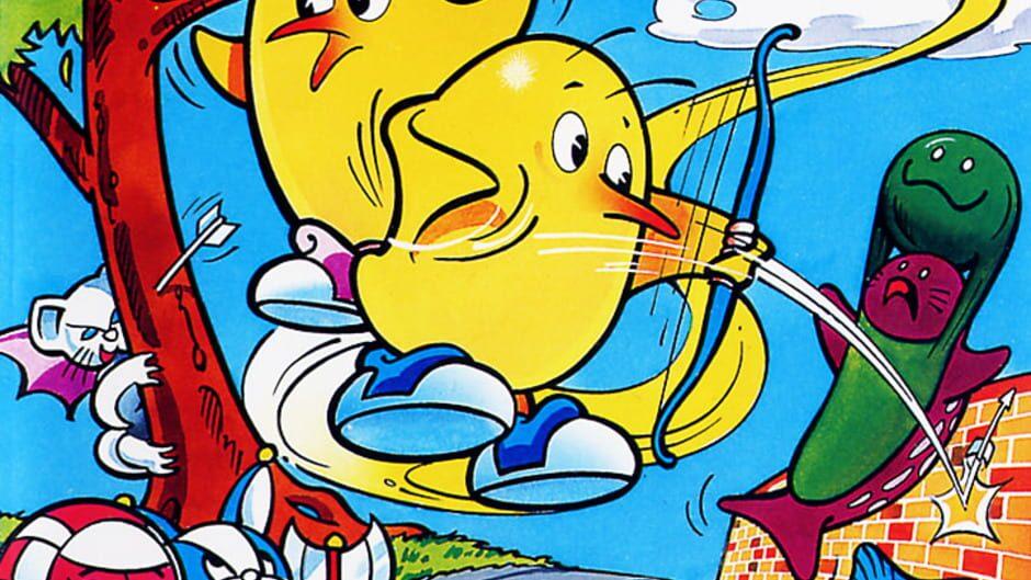 The NewZealand Story artwork 1
