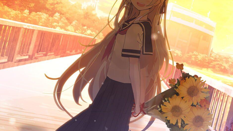 Sun In The Shade artwork 1