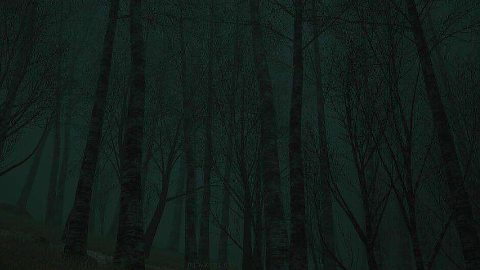 Descending The Woods artwork 1