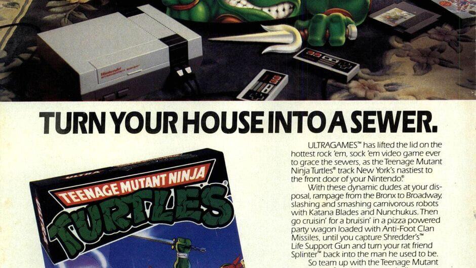 Teenage Mutant Ninja Turtles artwork 1