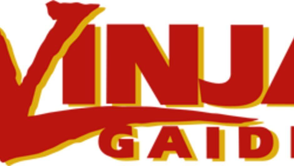 Ninja Gaiden artwork 2