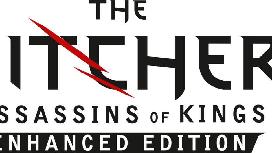 The Witcher 2: Assassins of Kings - Enhanced Edition artwork 1