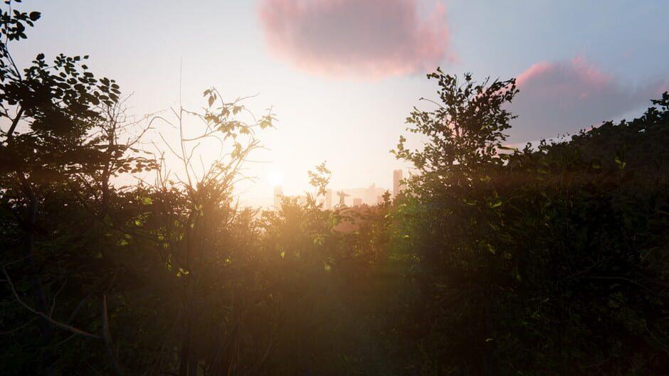 Impunes artwork 1