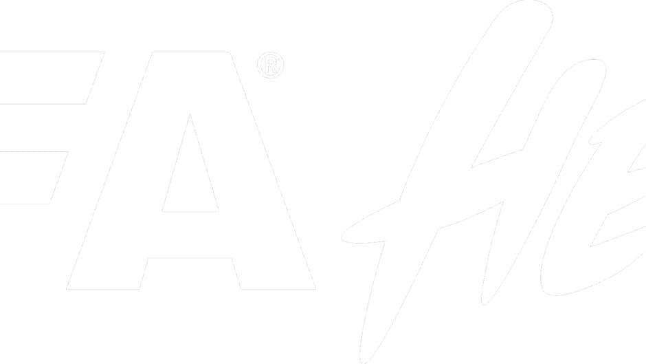 FIFA Heroes artwork 1