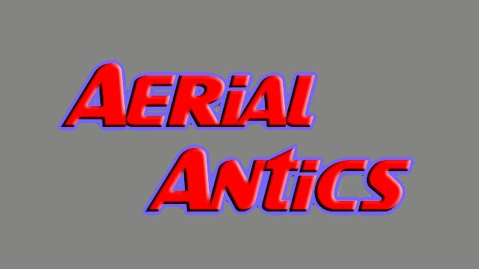 Aerial Antics artwork 2