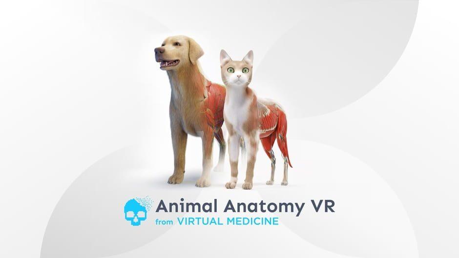 Animal Anatomy VR artwork 1