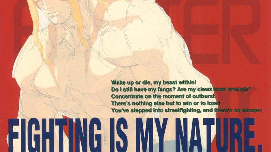 Street Fighter III: New Generation artwork 3
