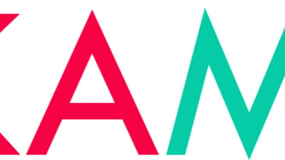 Kami artwork 2