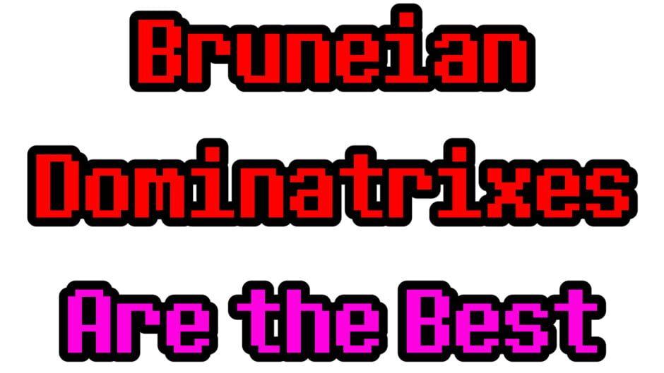 Bruneian Dominatrixes Are the Best artwork 2