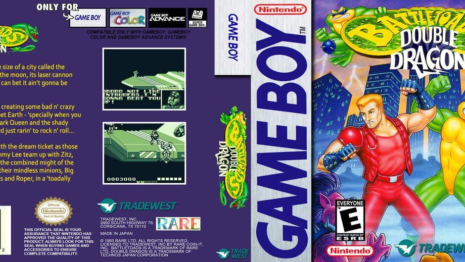 Battletoads / Double Dragon artwork 2