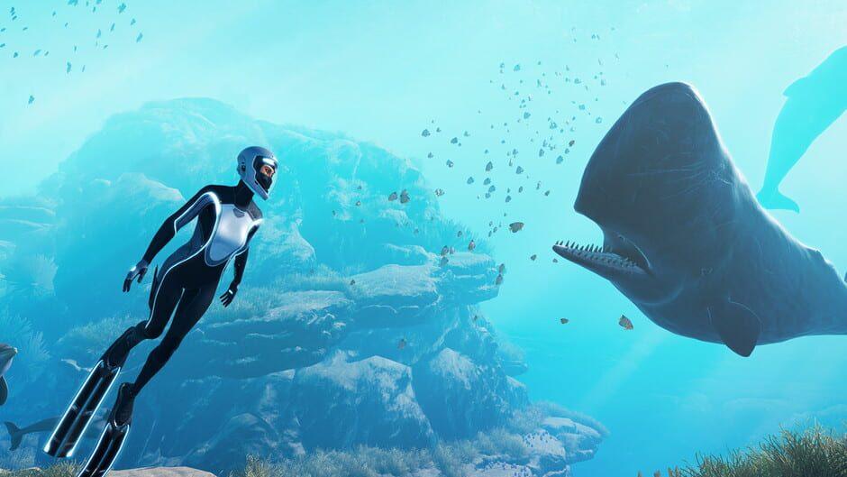 Beyond Blue artwork 1