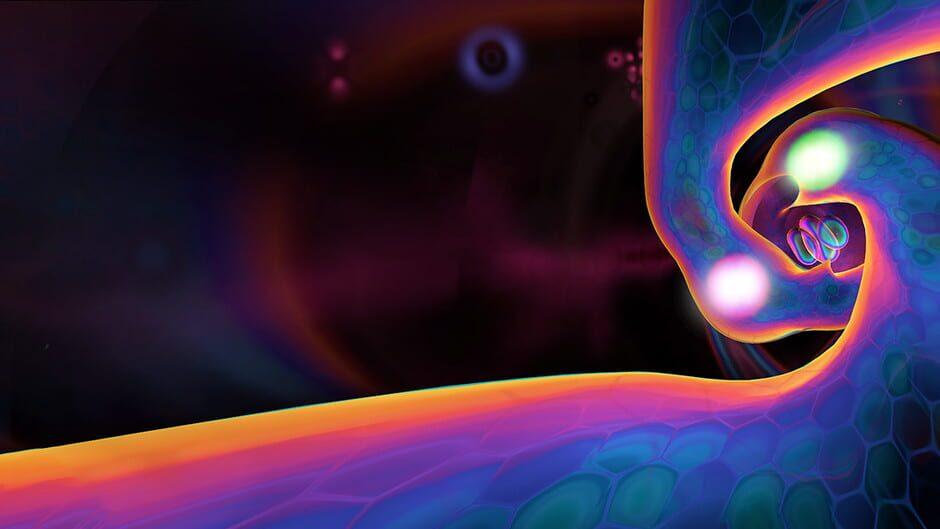 Squingle artwork 1