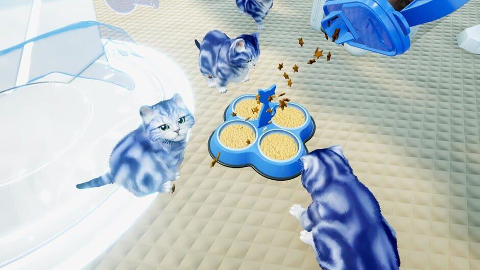 Kitten'd screenshot 2