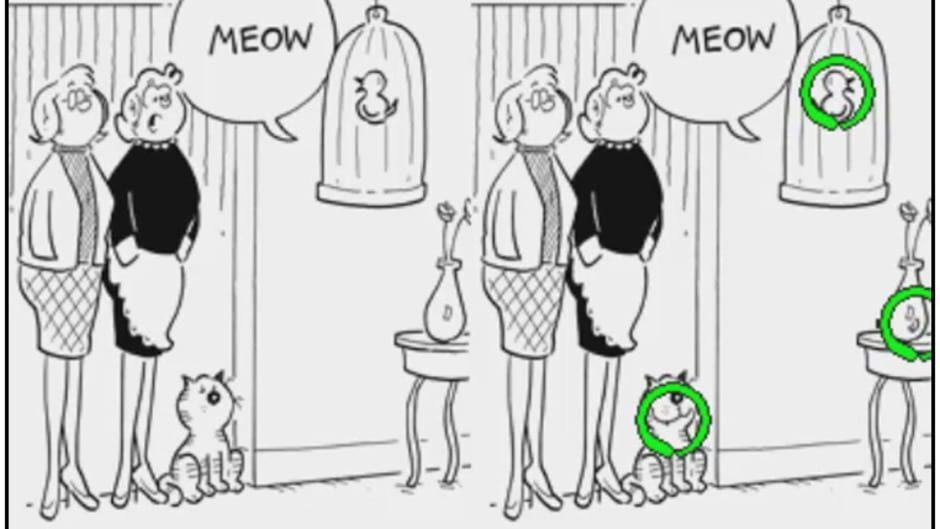 Heathcliff: Spot On screenshot 1