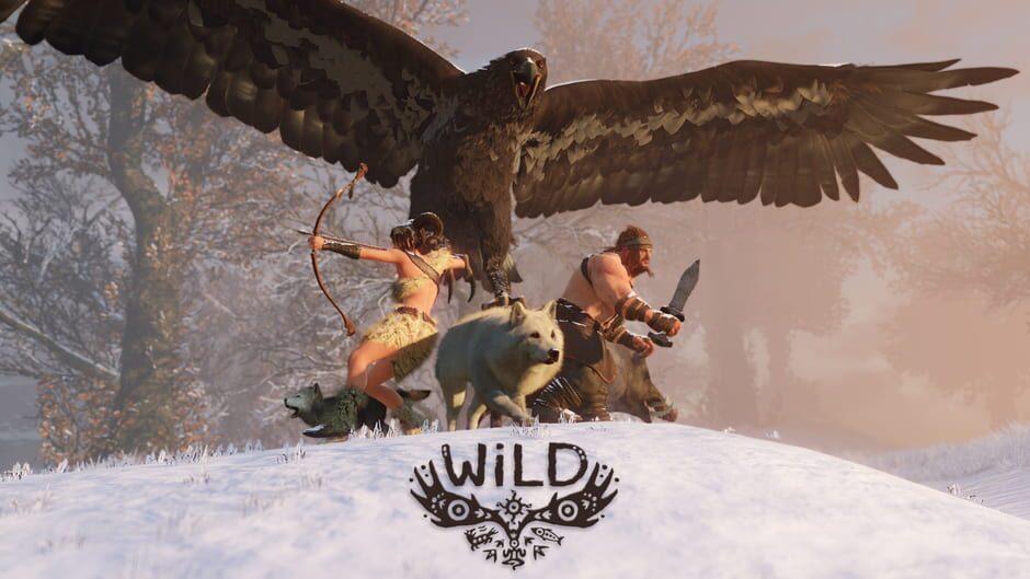 WiLD artwork 1