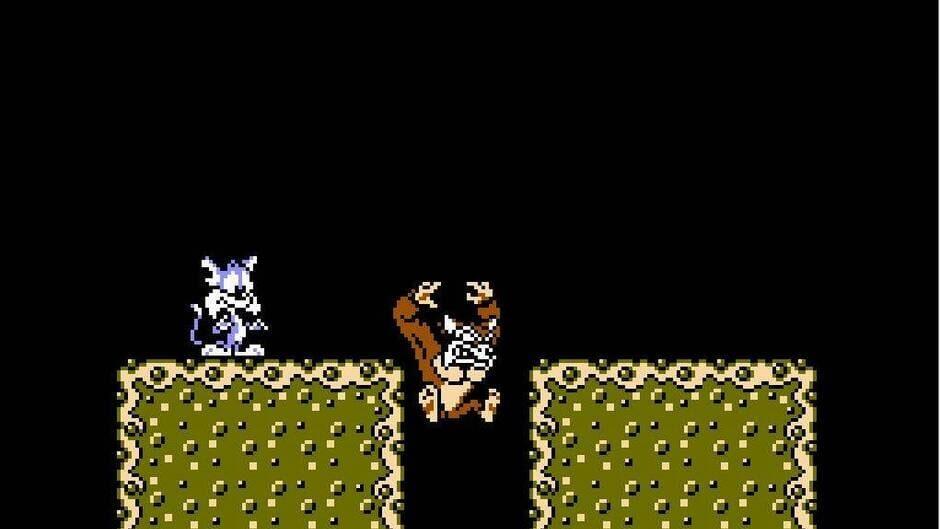 Tiny Toon Adventures screenshot 3