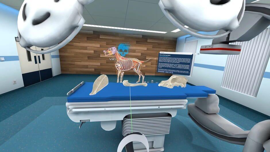 Animal Anatomy VR screenshot 1