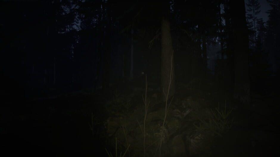 Veylora screenshot 1