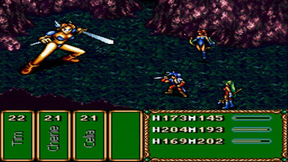 Brave Battle Saga: Legend of the Magic Warrior screenshot 4