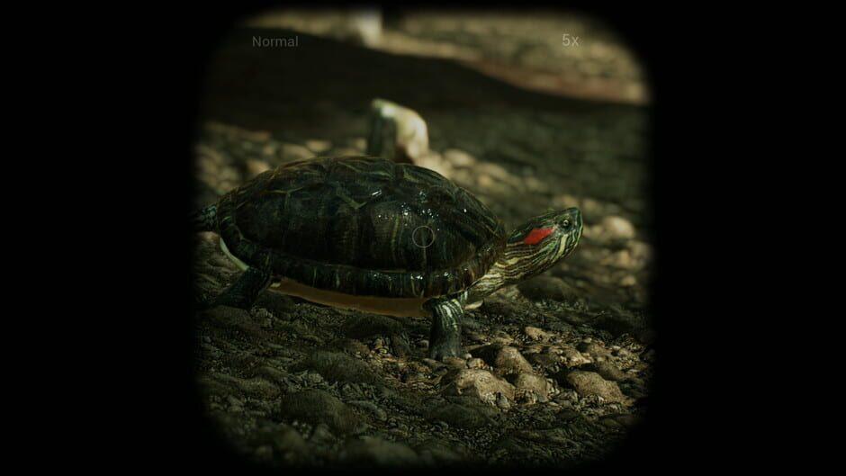 Morels: The Hunt screenshot 2