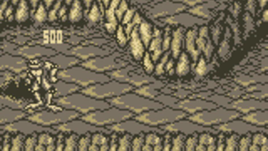 Battletoads in Ragnarok's World screenshot 2