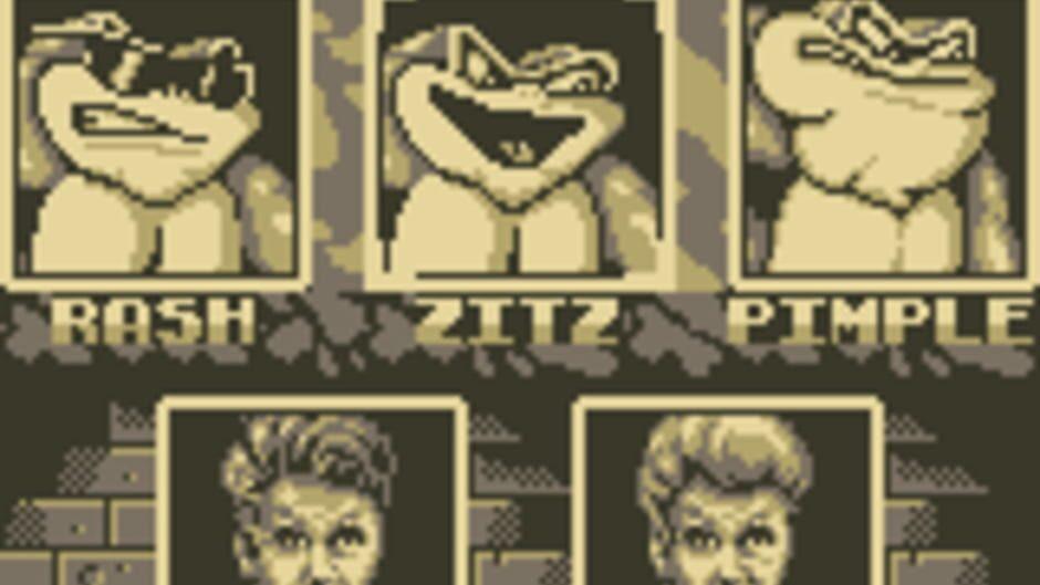 Battletoads / Double Dragon screenshot 1