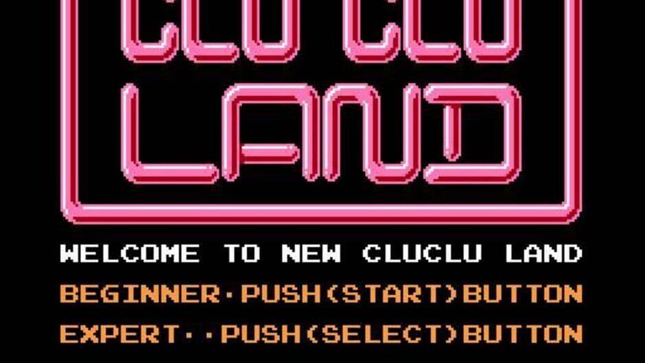 Clu Clu Land D screenshot 1