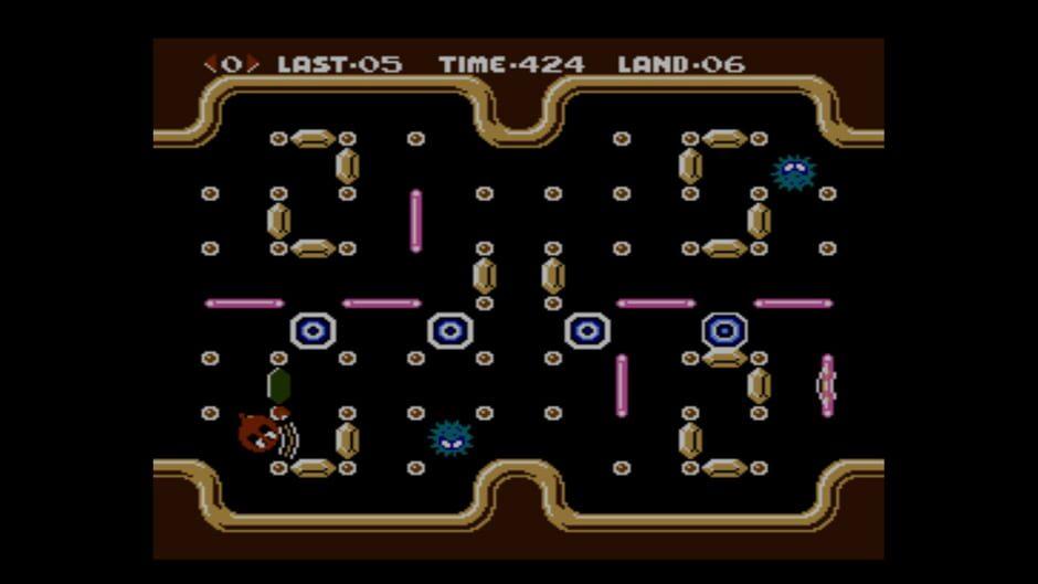 Clu Clu Land D screenshot 3