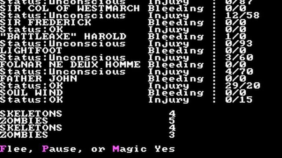Wizard's Crown screenshot 2