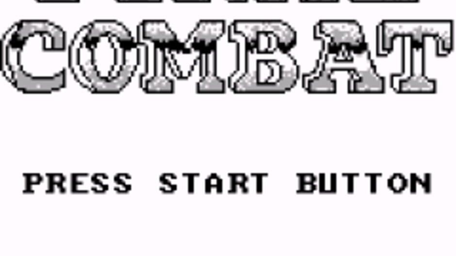 Final Combat screenshot 1