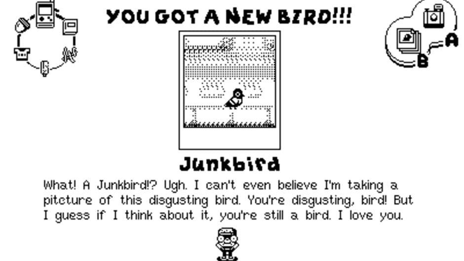 Casual Birder screenshot 2