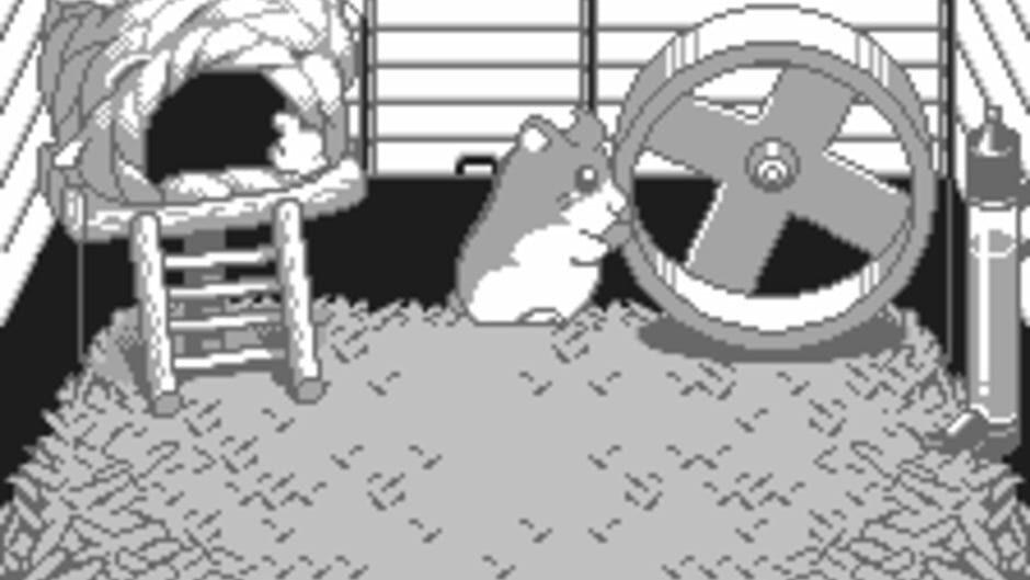 Dokodemo Hamster screenshot 1
