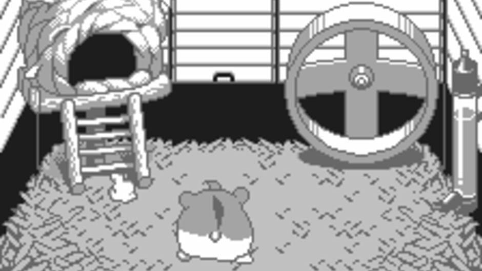Dokodemo Hamster screenshot 3