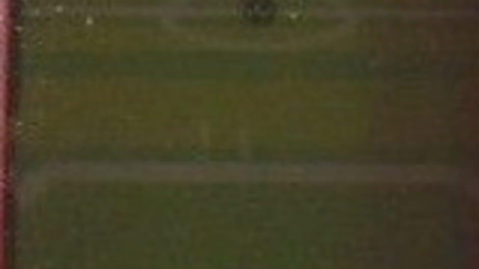 Knuckles Soccer screenshot 1