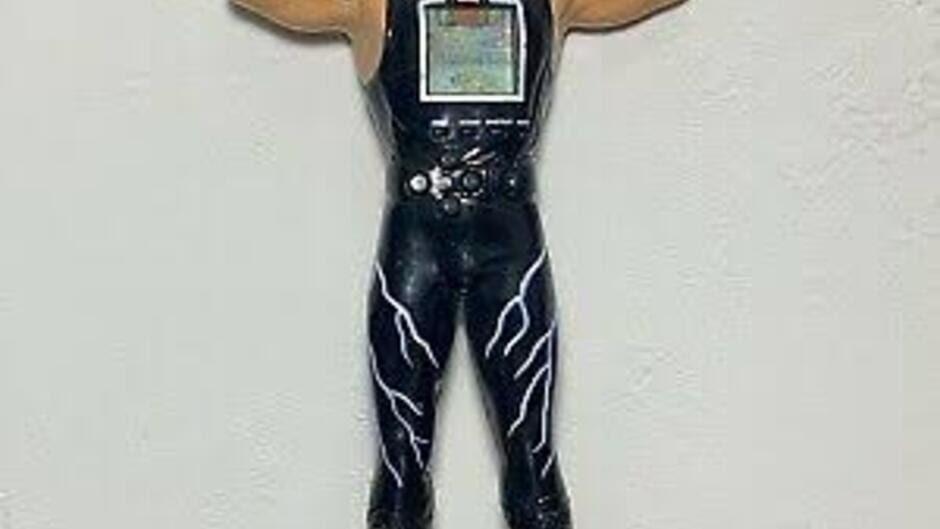WCW Hollywood Hulk Hogan Power Fighter screenshot 1