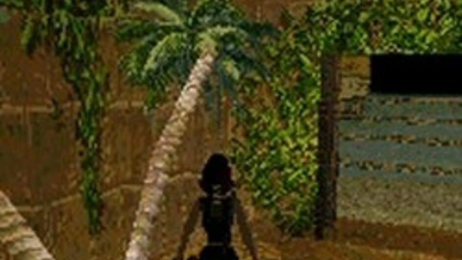 Tomb Raider screenshot 4