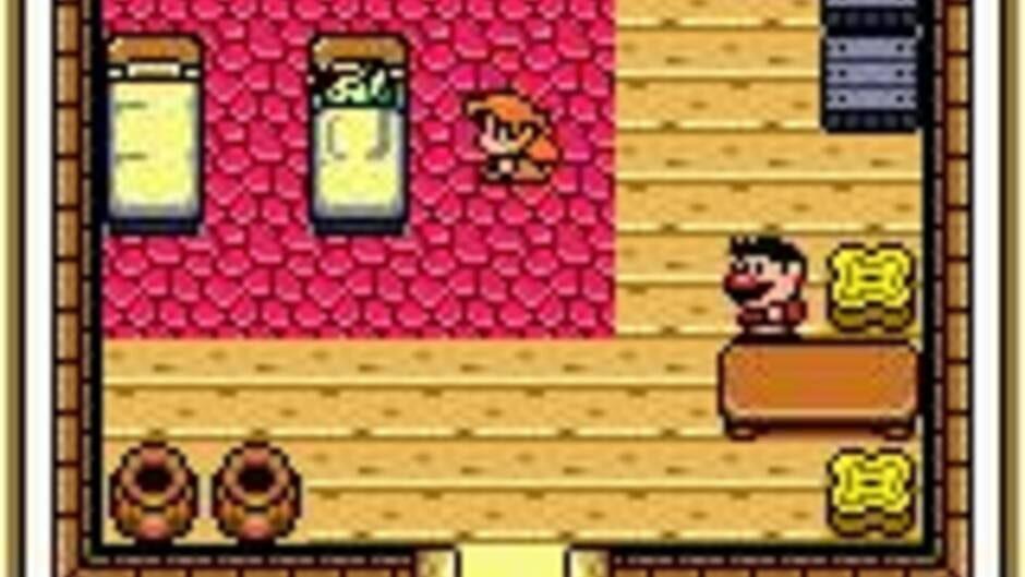 The Legend of Zelda: Link's Awakening DX screenshot 4