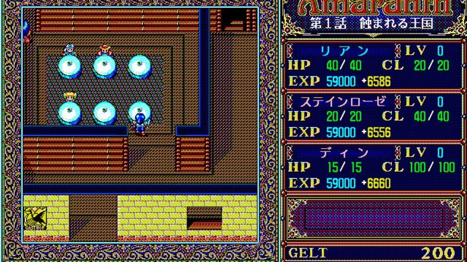 Amaranth screenshot 3