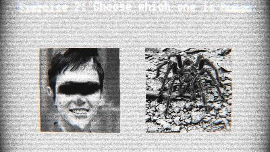 Recognition Test 23 screenshot 2