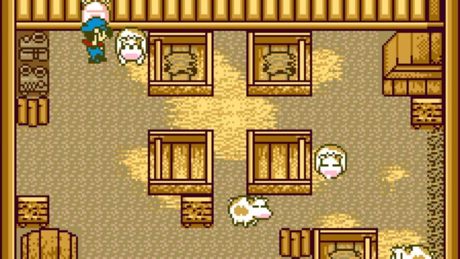 Harvest Moon GBC screenshot 4